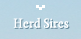 Herd Sires